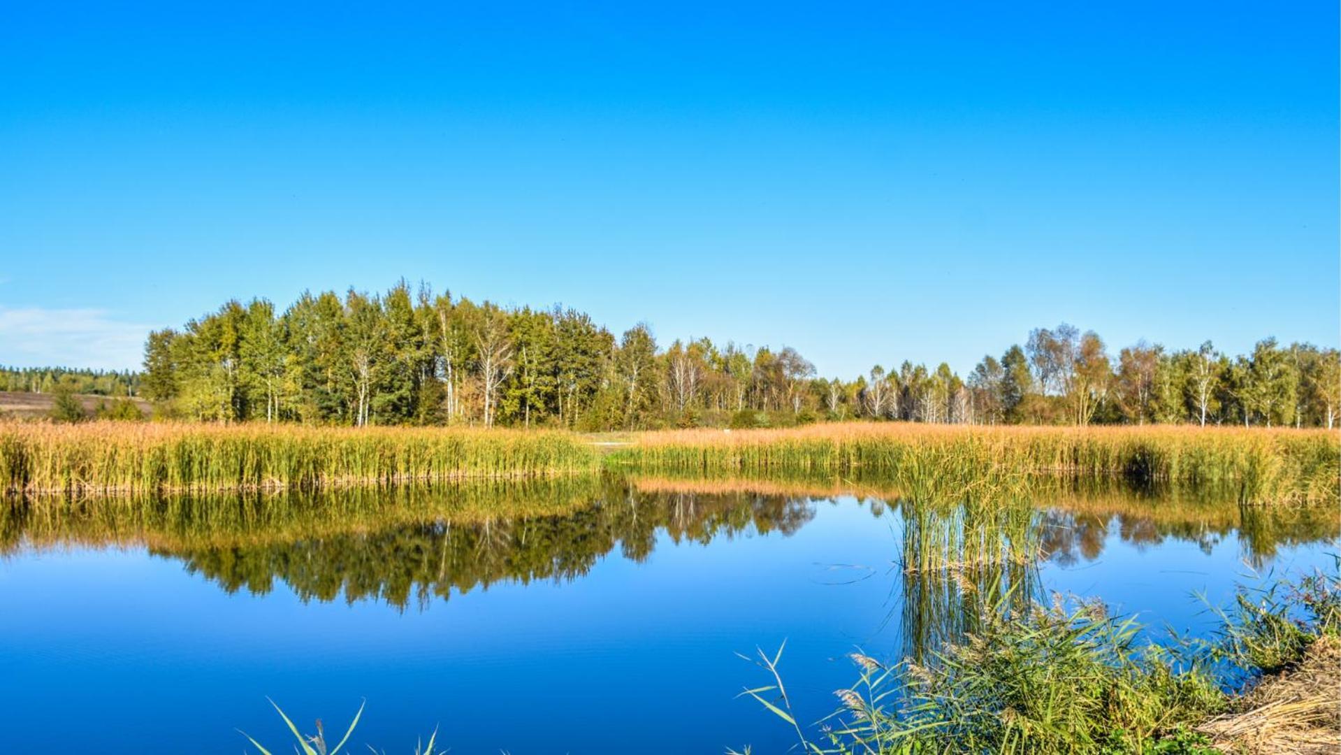 Sherwood Lake Hotel Berezovka  Buitenkant foto